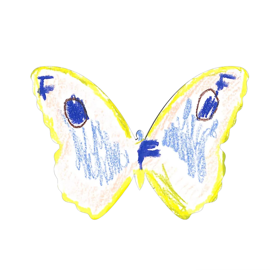 Original Butterfly Image