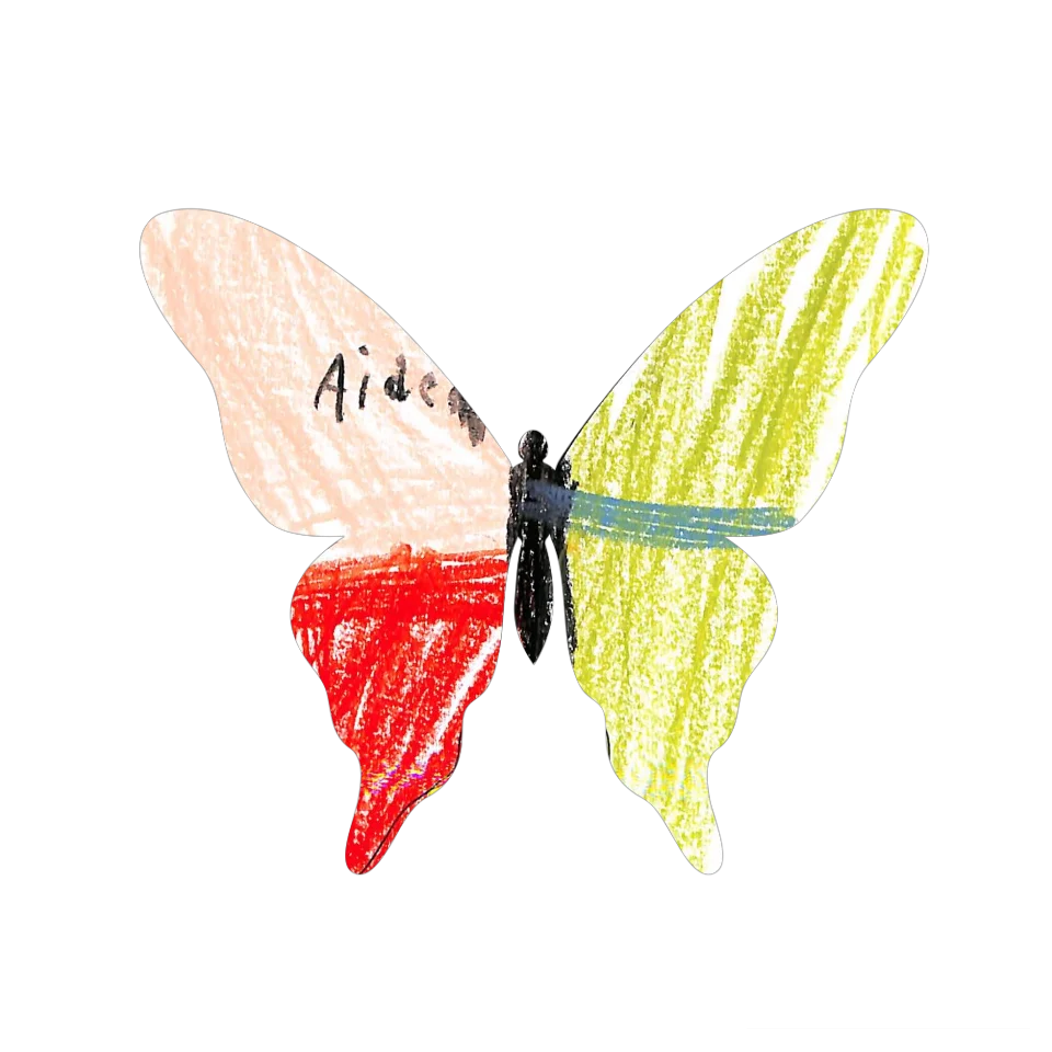 Original Butterfly Image
