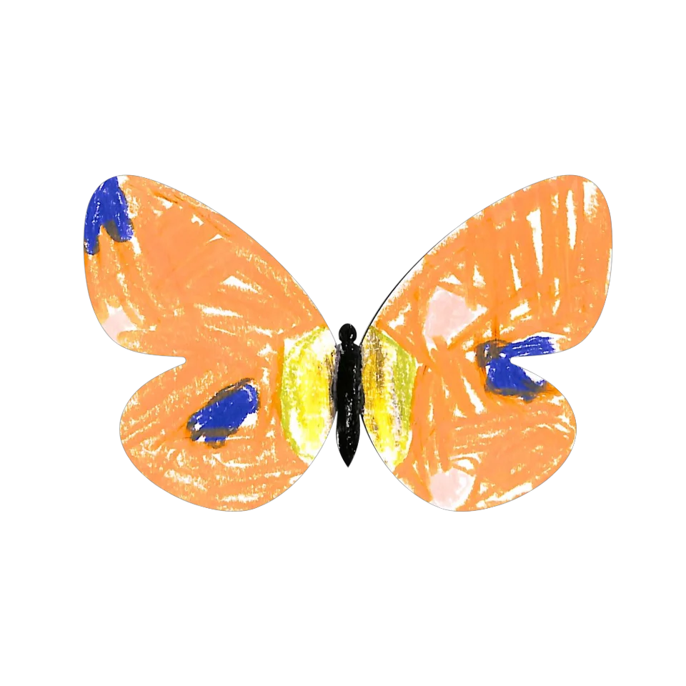 Original Butterfly Image