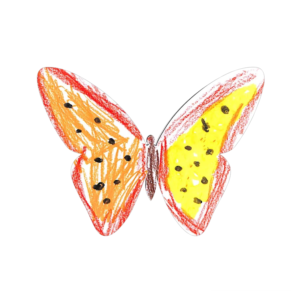 Original Butterfly Image
