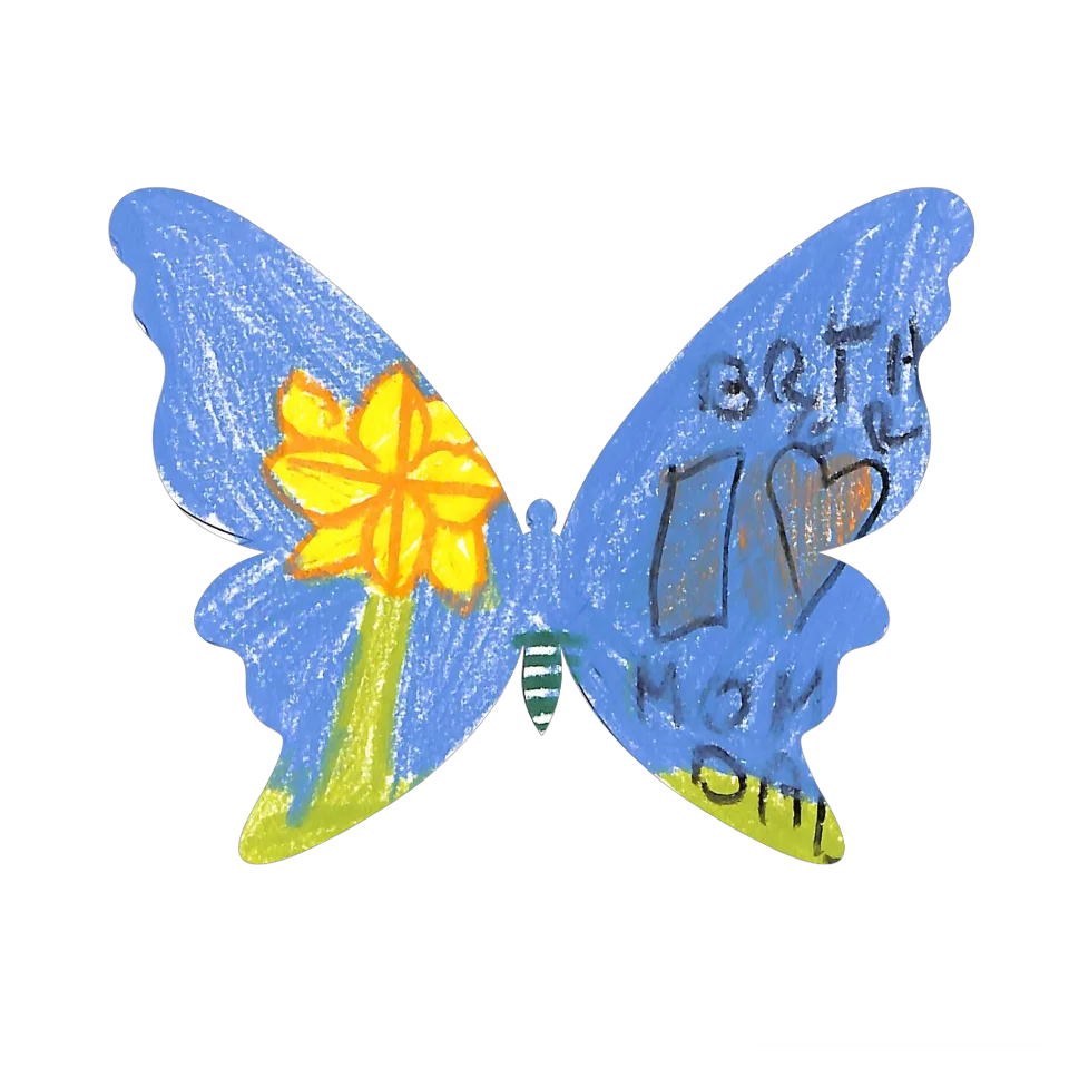 Original Butterfly Image