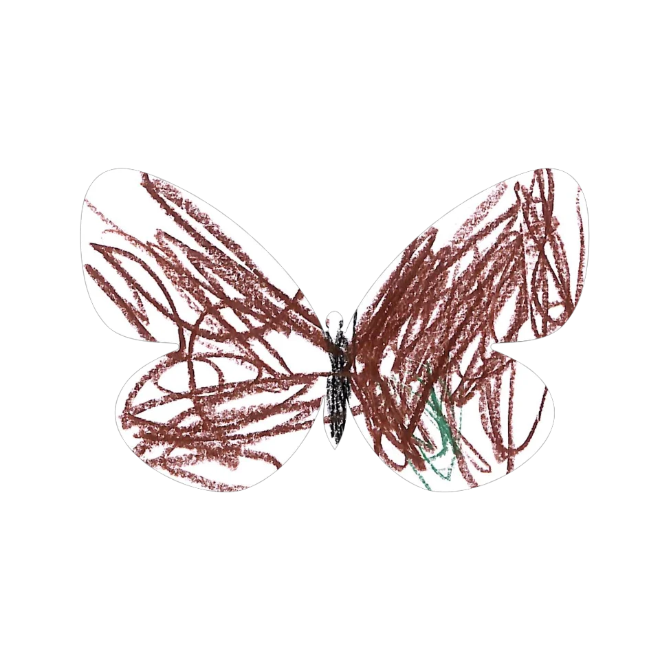 Original Butterfly Image