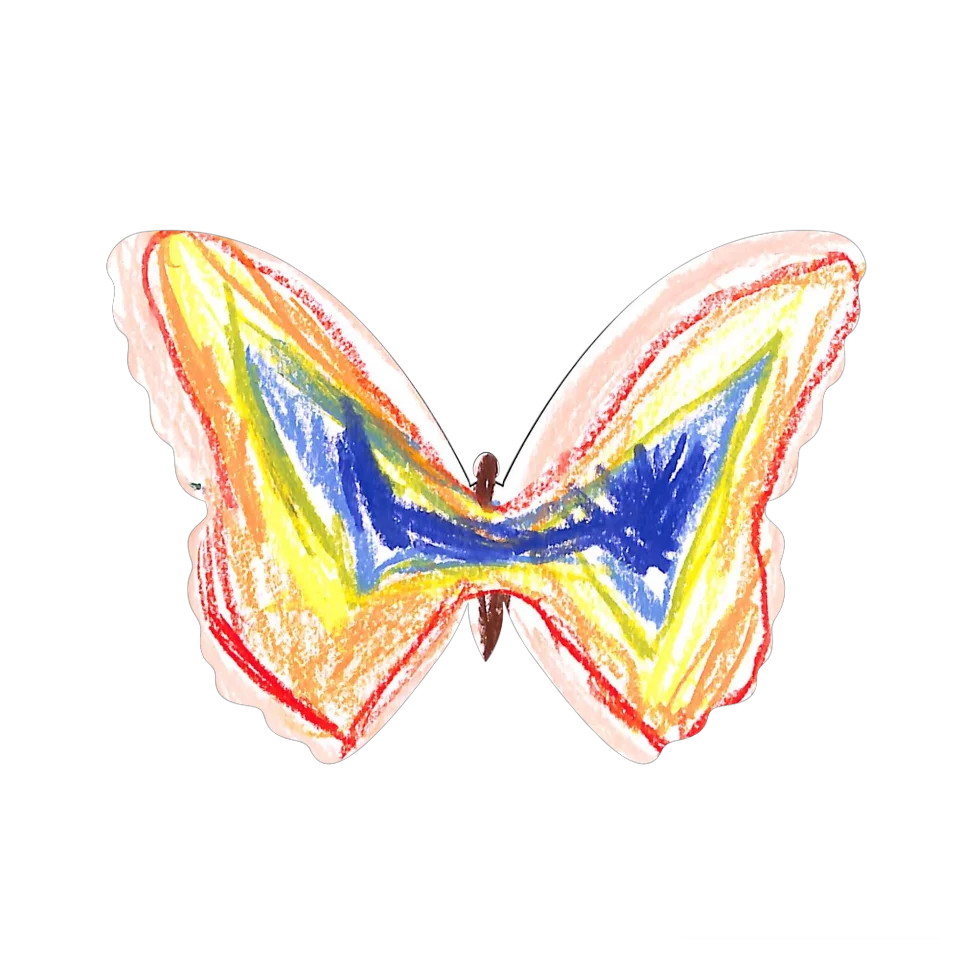 Original Butterfly Image