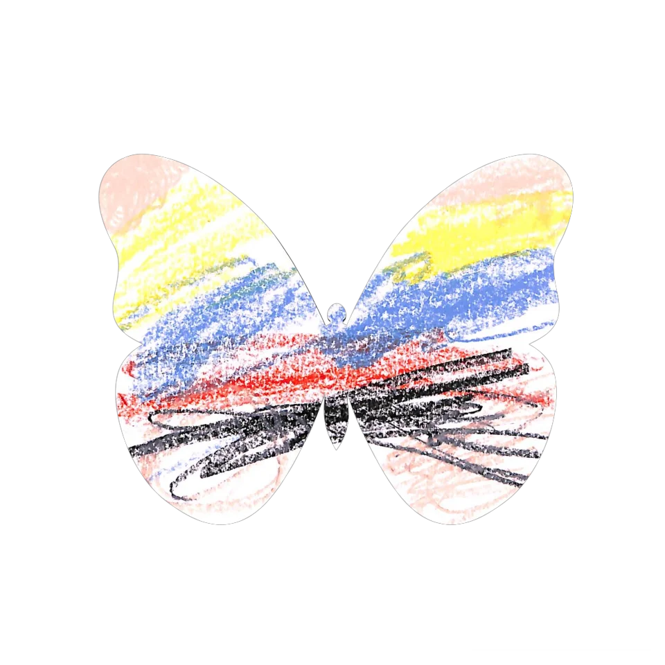 Original Butterfly Image