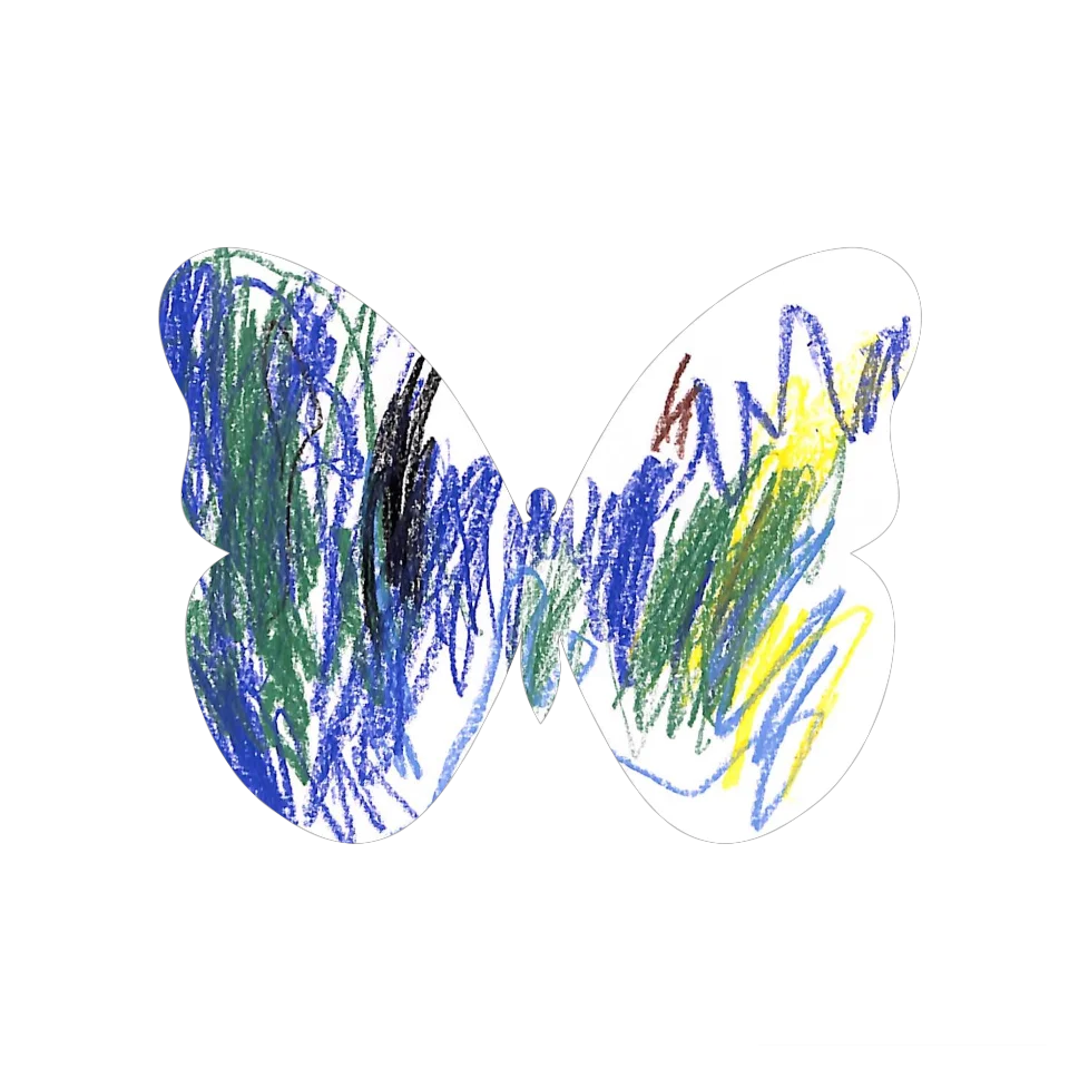 Original Butterfly Image