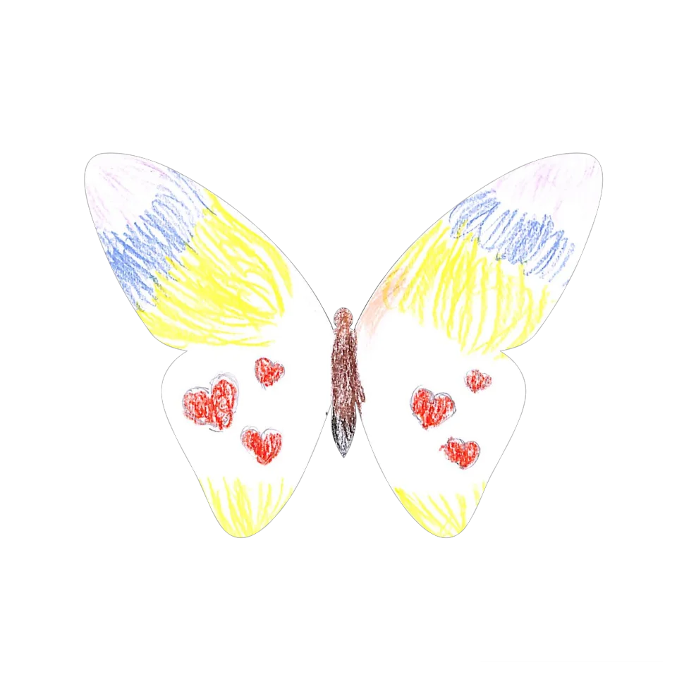Original Butterfly Image