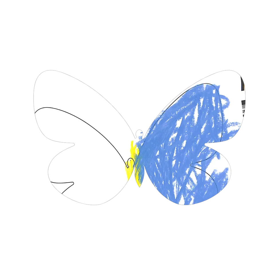 Original Butterfly Image
