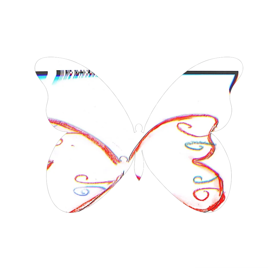 Original Butterfly Image