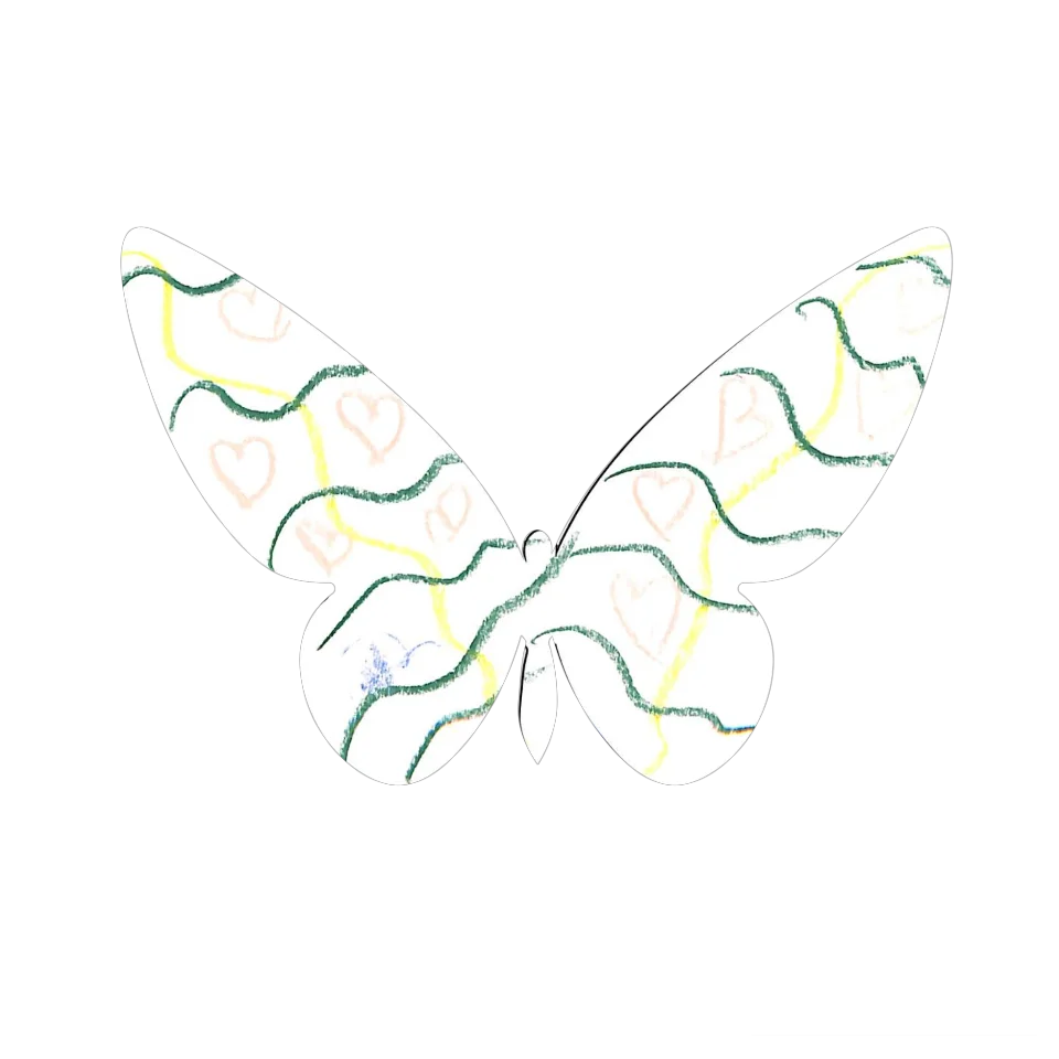Original Butterfly Image
