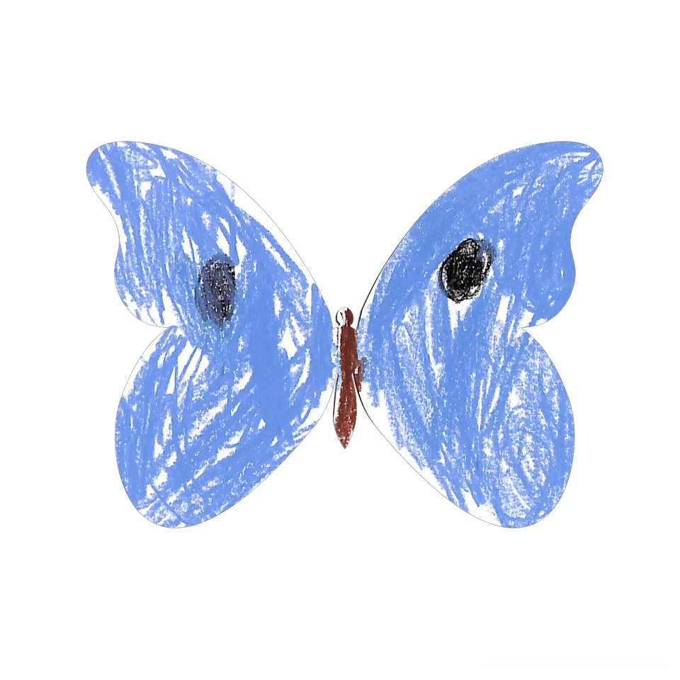 Original Butterfly Image