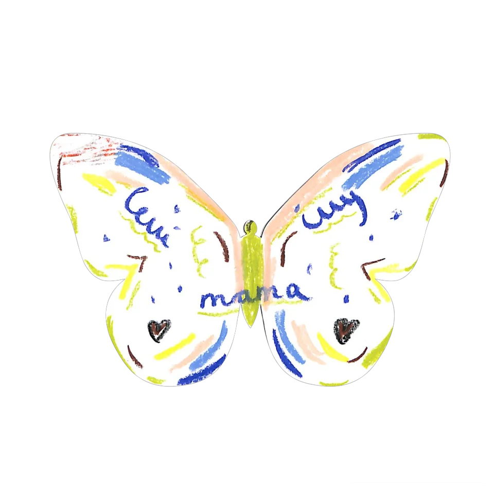 Original Butterfly Image