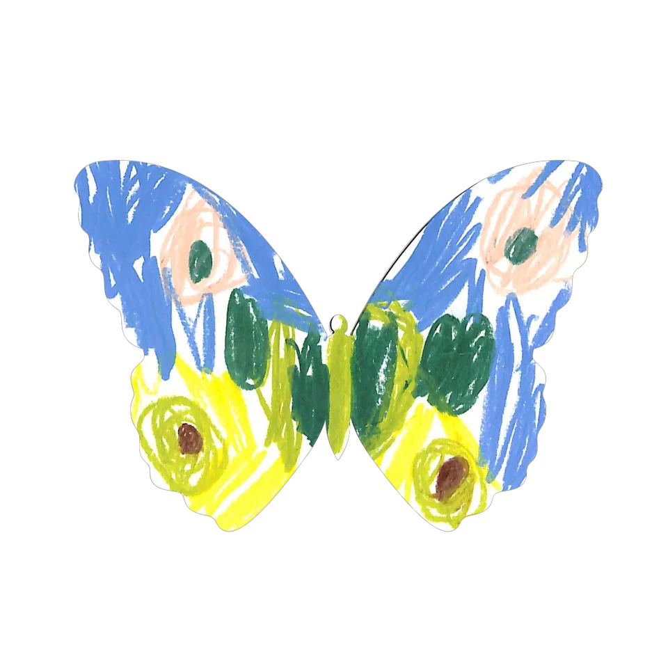 Original Butterfly Image
