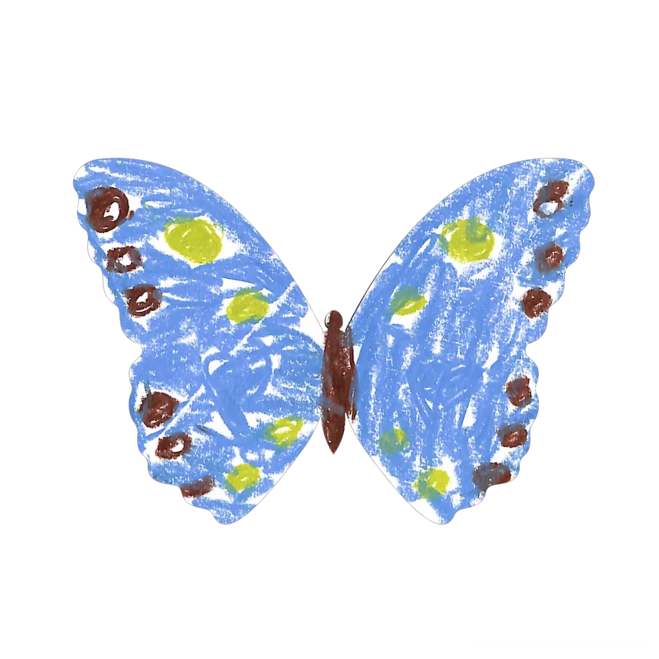 Original Butterfly Image