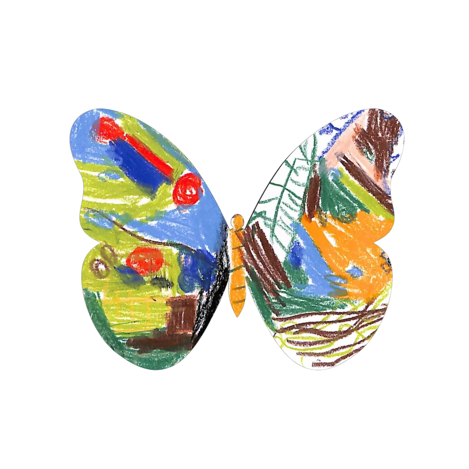 Original Butterfly Image