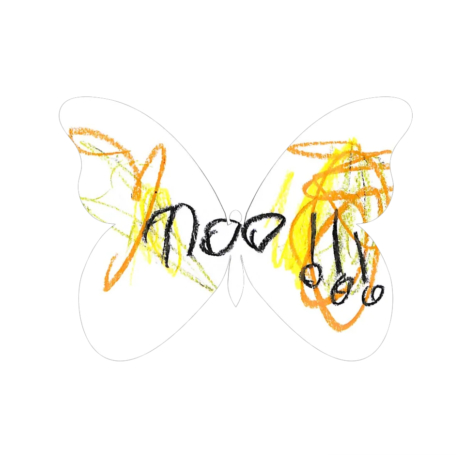 Original Butterfly Image