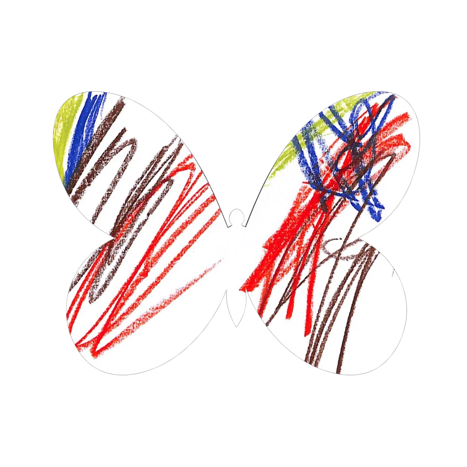 Original Butterfly Image