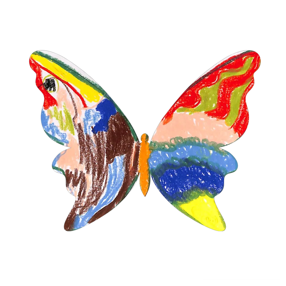 Original Butterfly Image