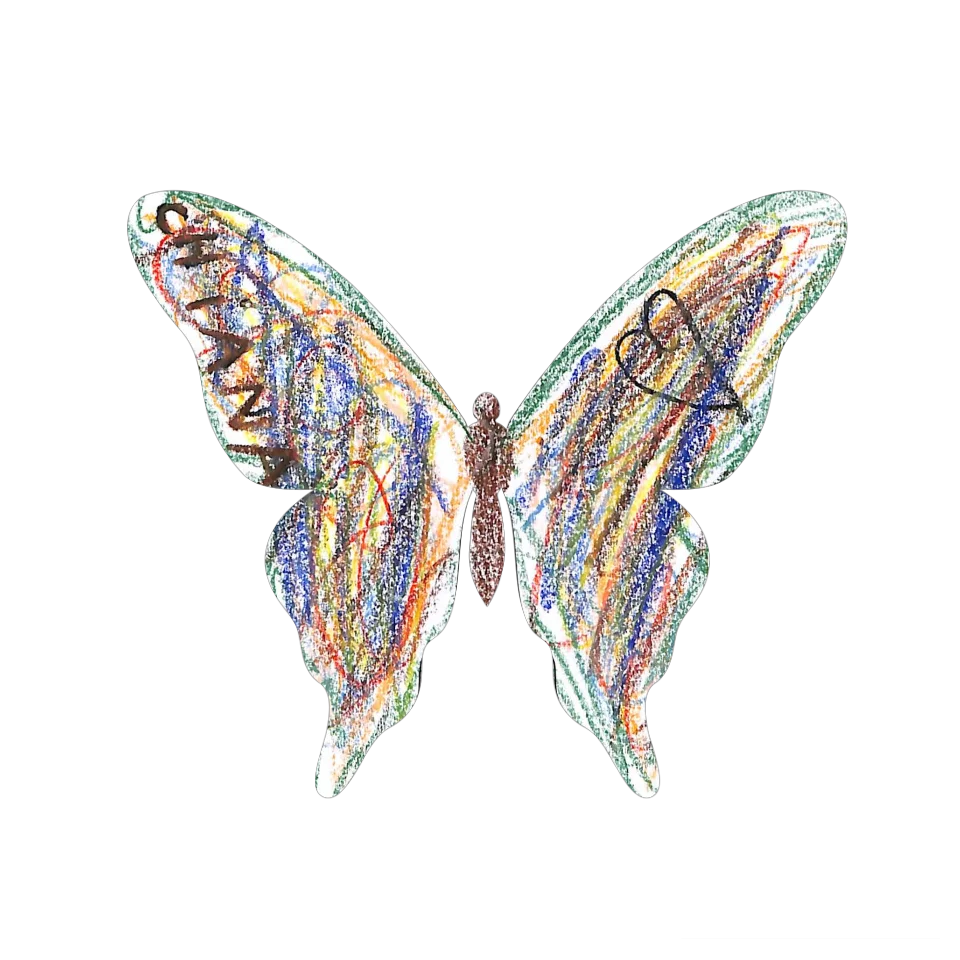 Original Butterfly Image