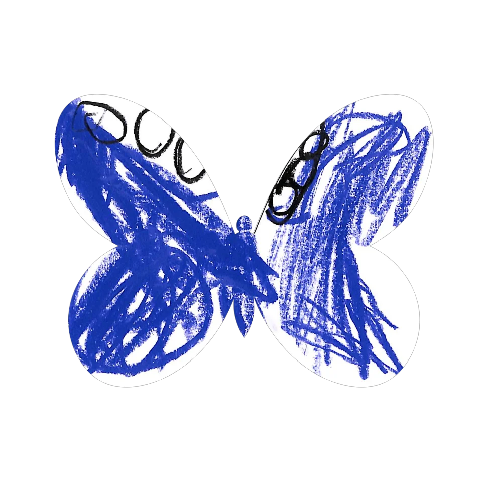 Original Butterfly Image