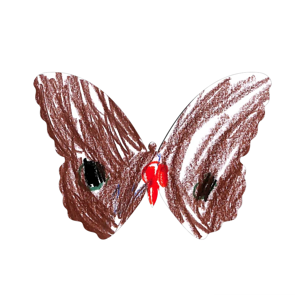Original Butterfly Image