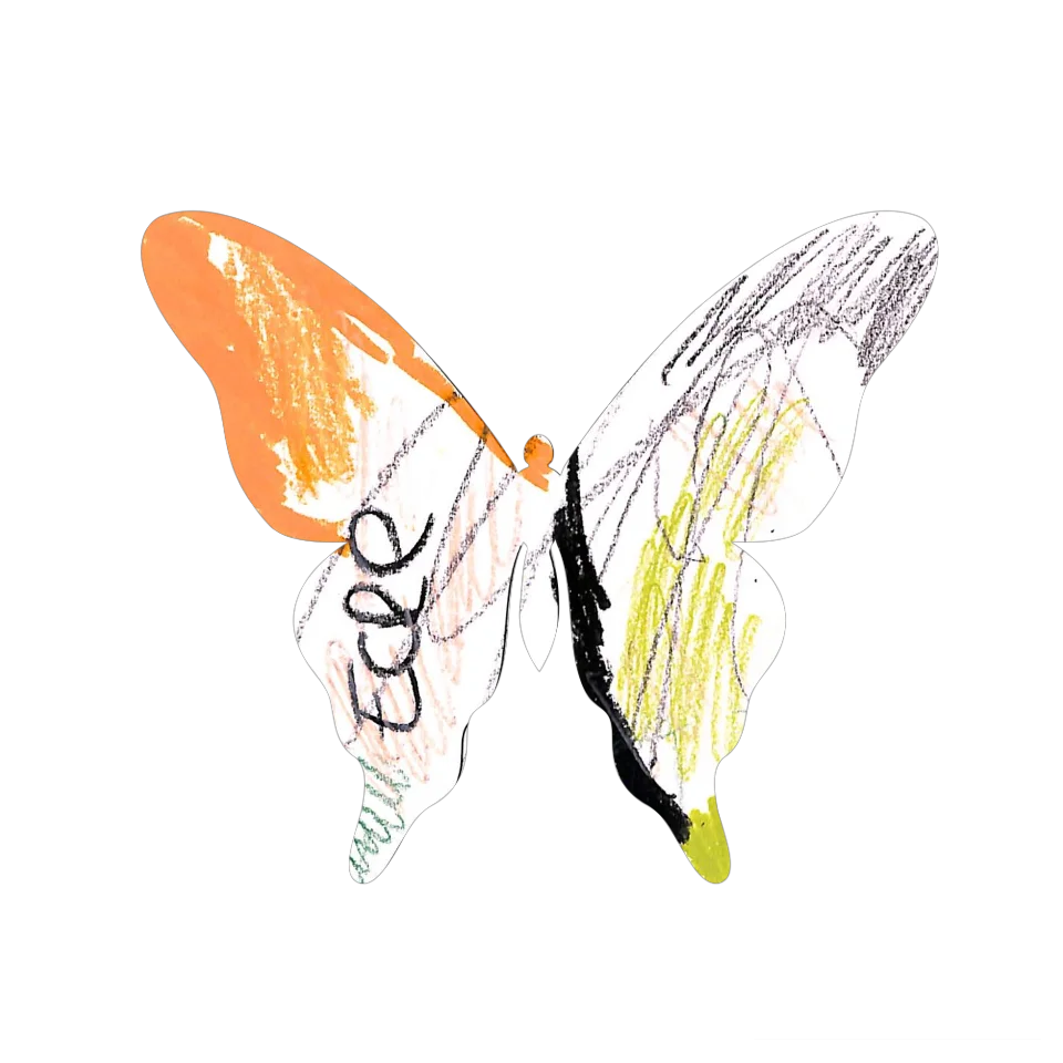 Original Butterfly Image