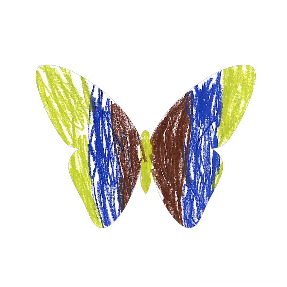 Original Butterfly Image