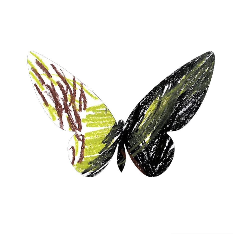 Original Butterfly Image