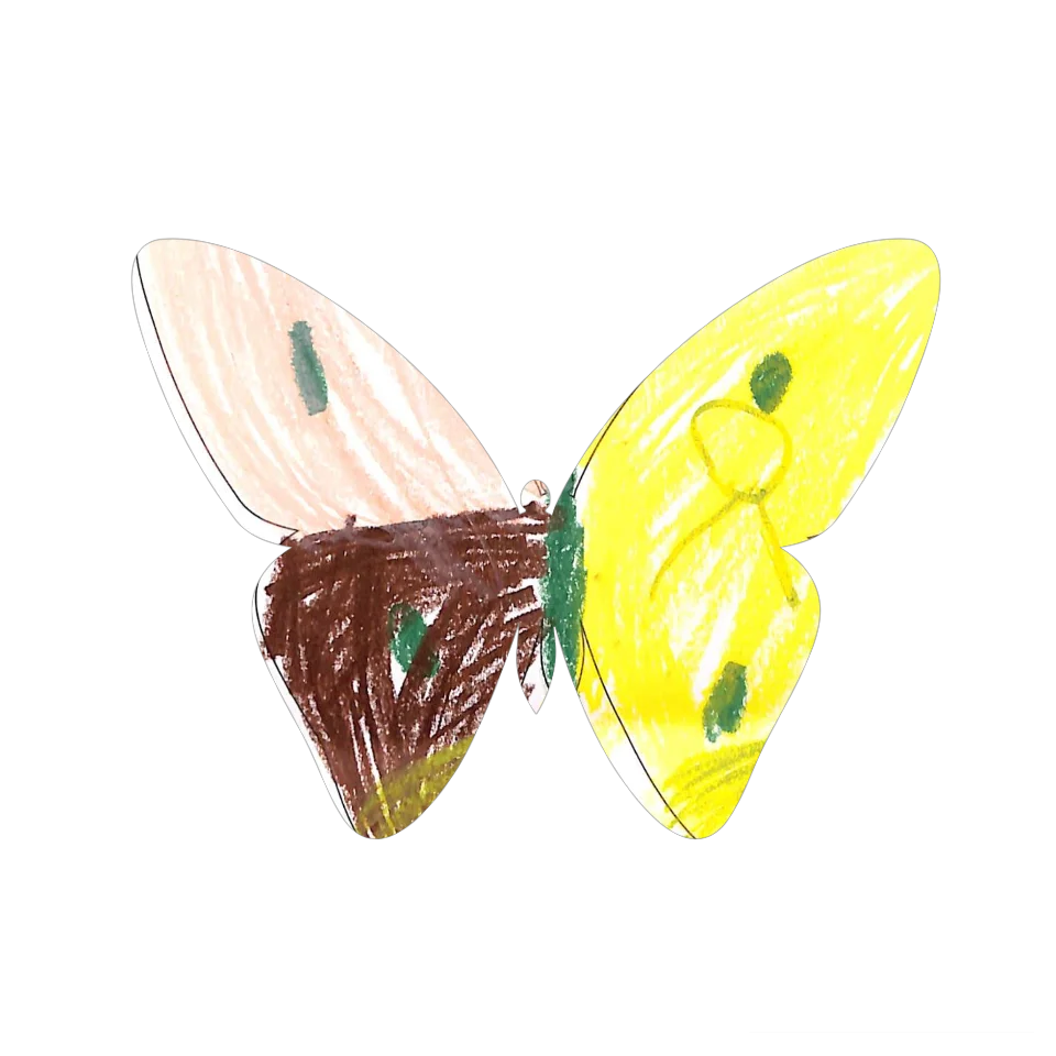 Original Butterfly Image