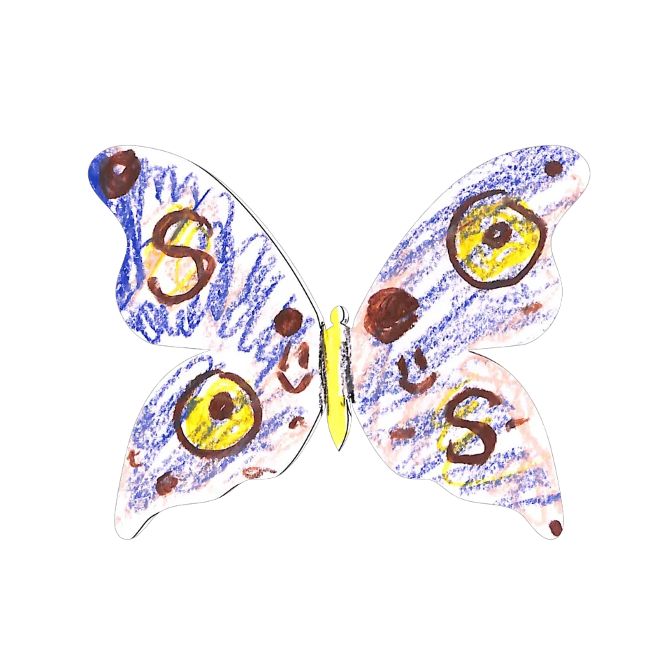 Original Butterfly Image