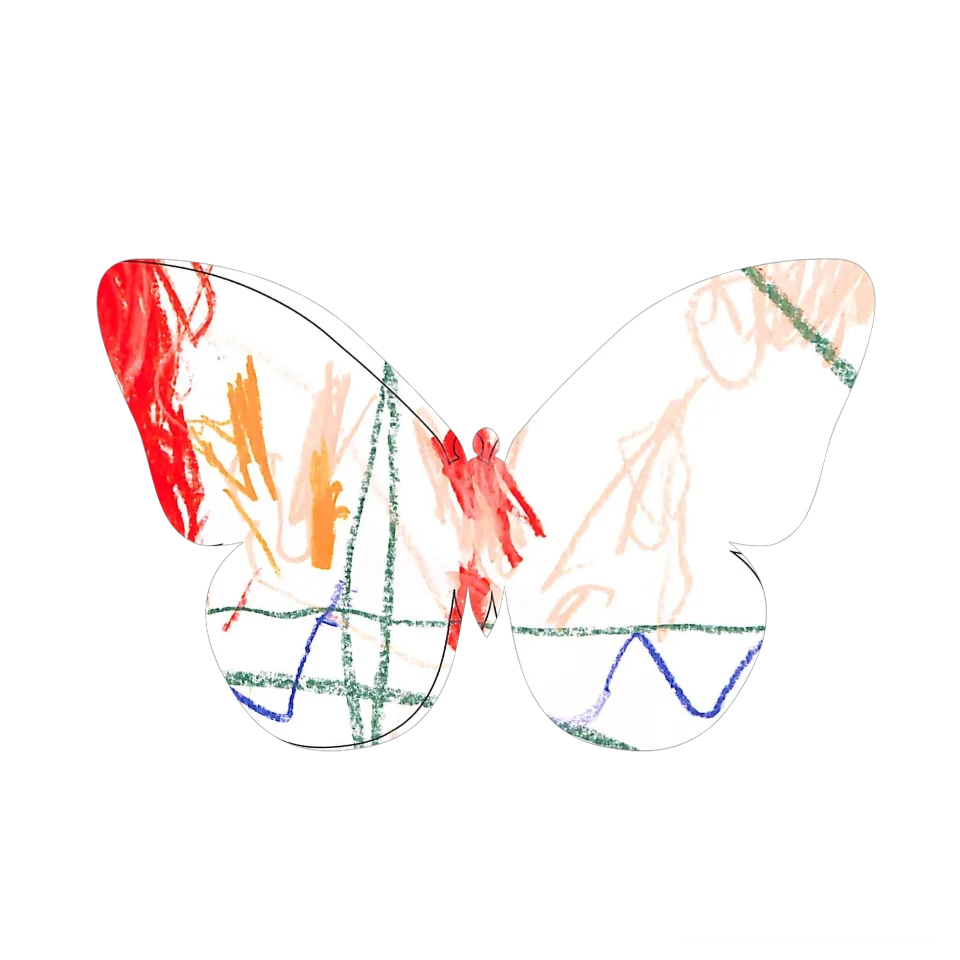 Original Butterfly Image