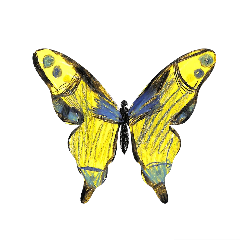 Original Butterfly Image