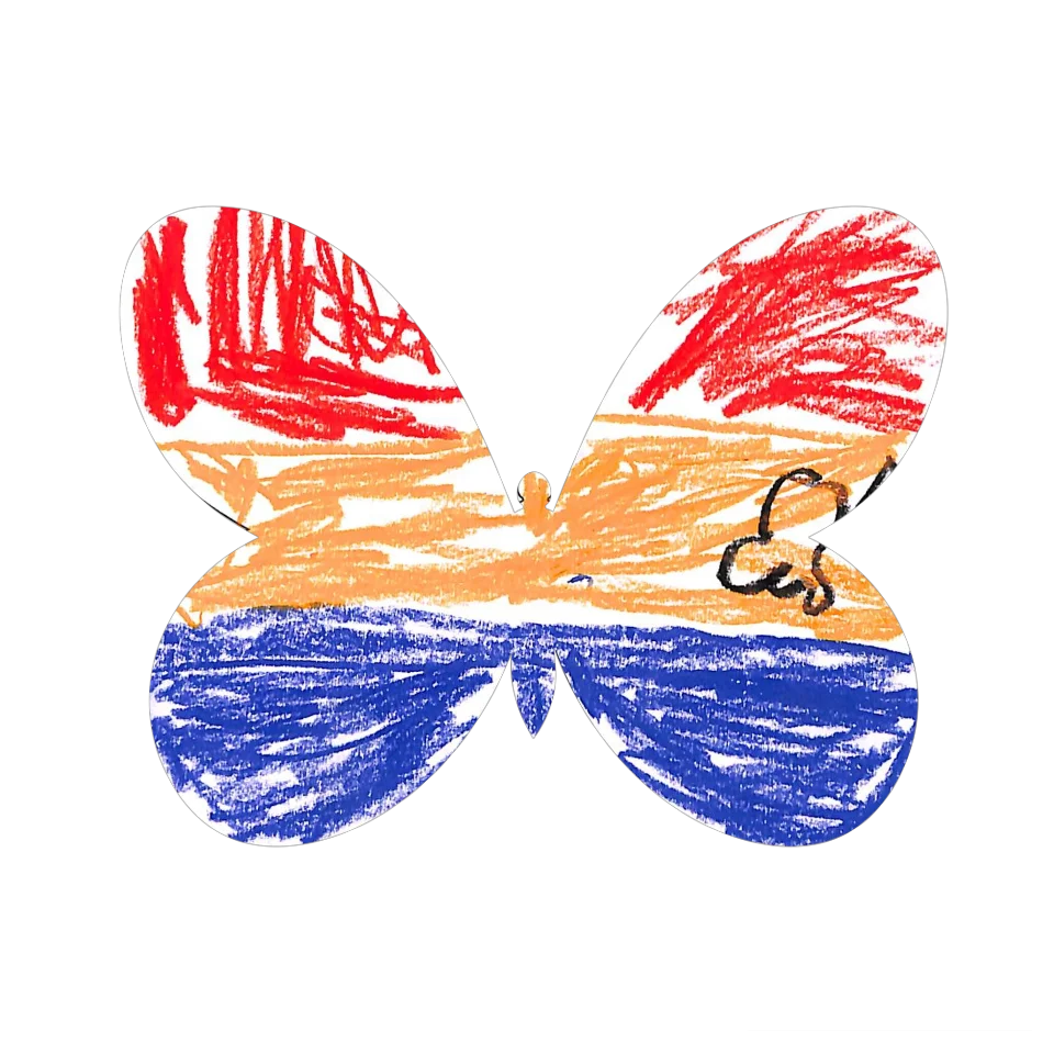 Original Butterfly Image