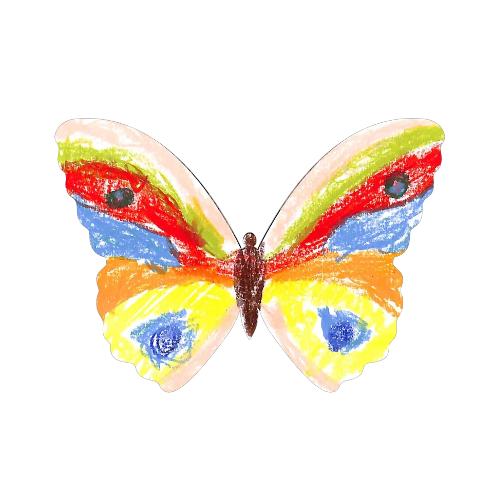 Original Butterfly Image