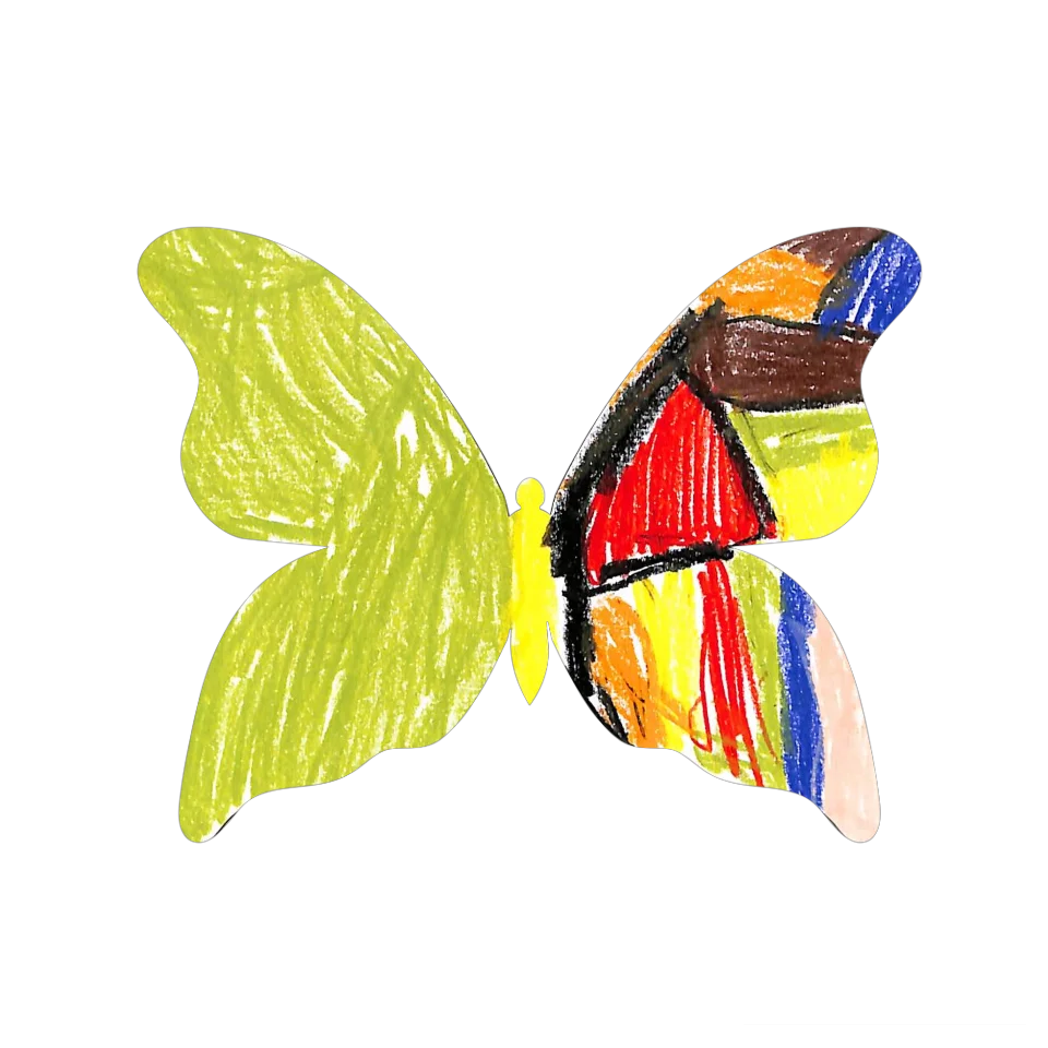 Original Butterfly Image
