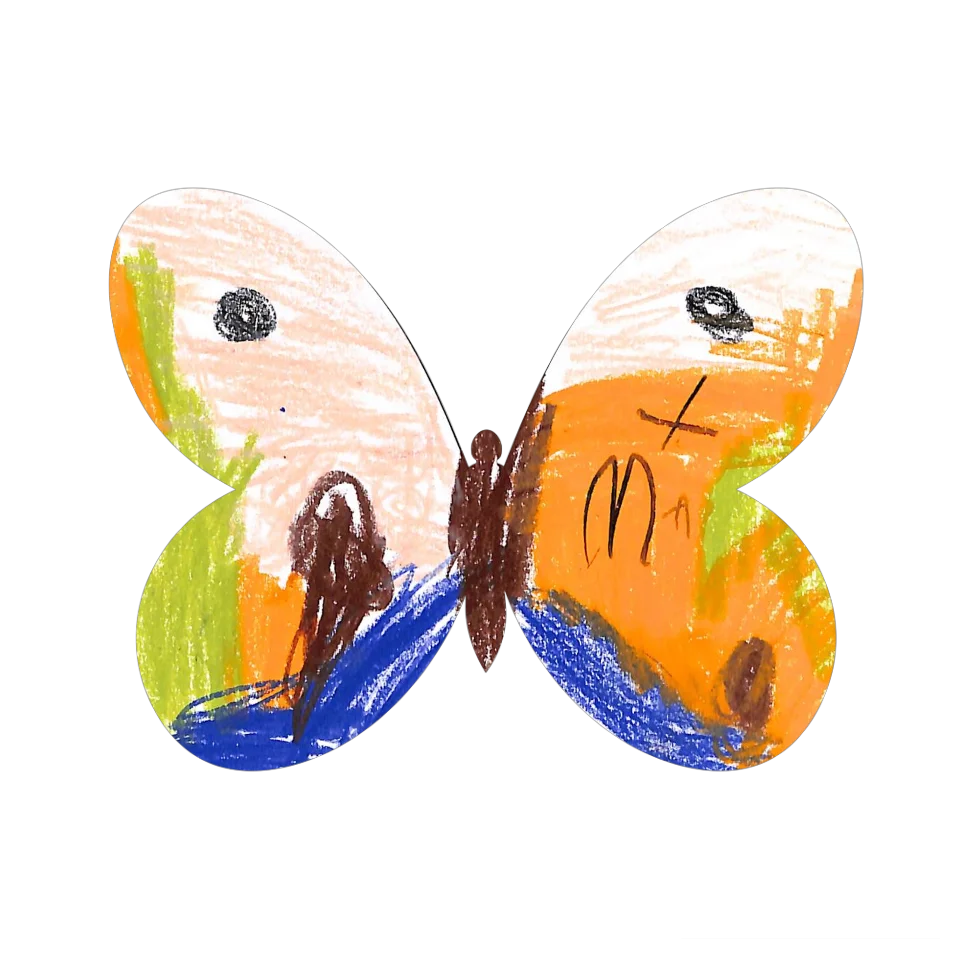 Original Butterfly Image