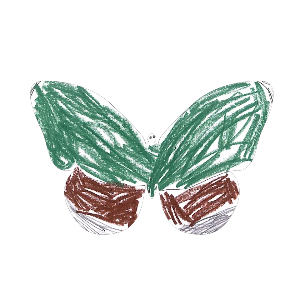 Original Butterfly Image