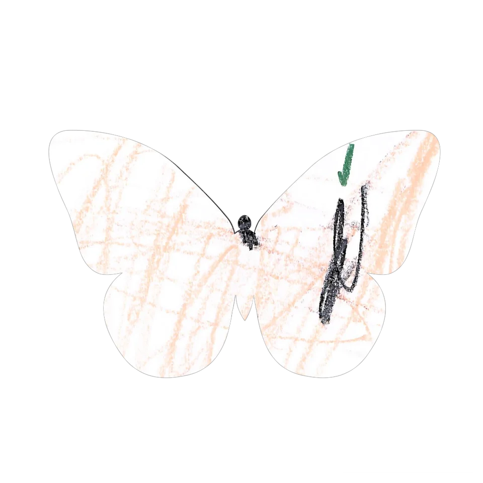 Original Butterfly Image