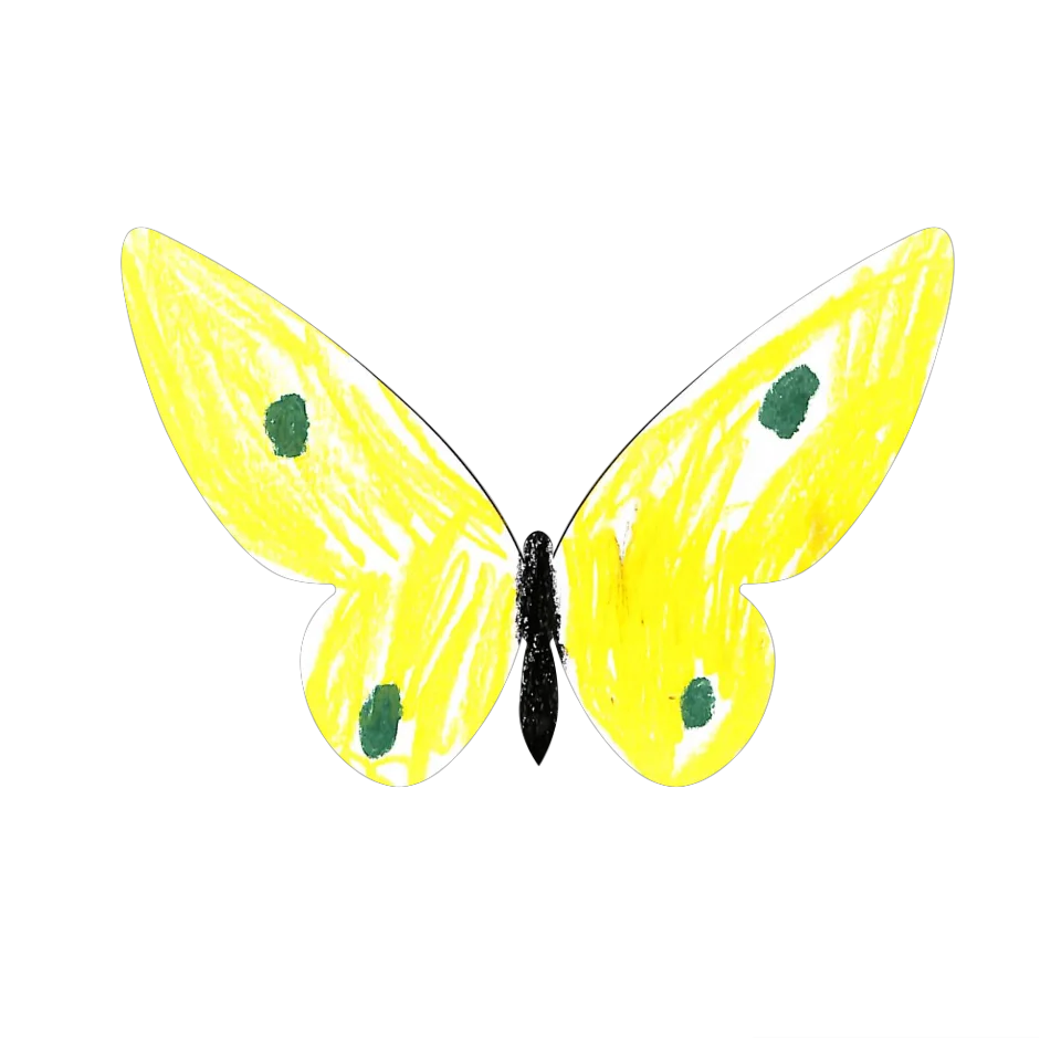 Original Butterfly Image