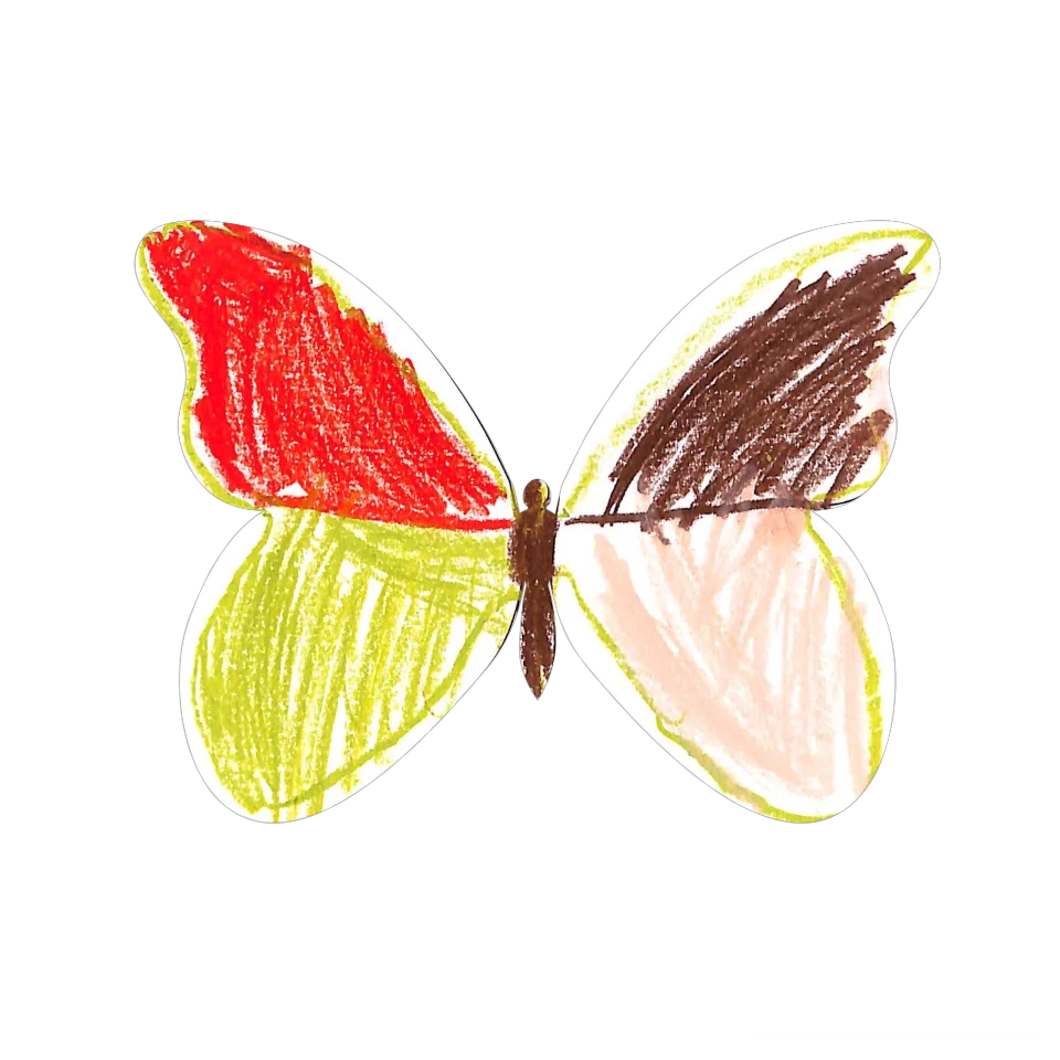 Original Butterfly Image