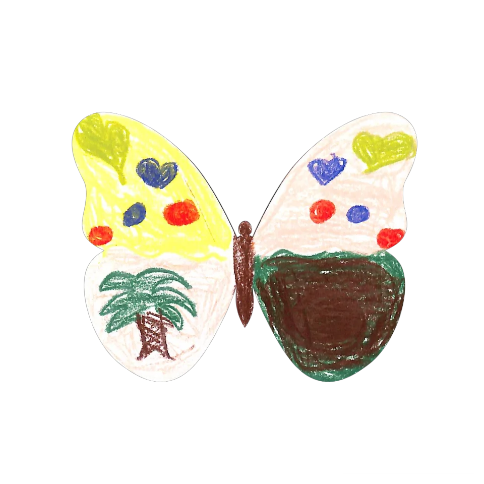 Original Butterfly Image
