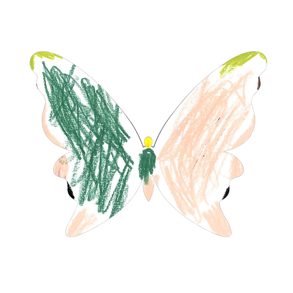 Original Butterfly Image