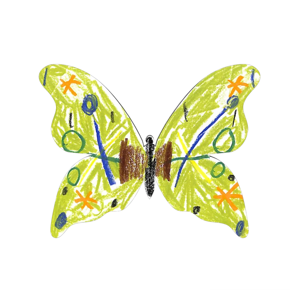 Original Butterfly Image
