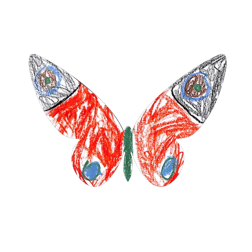 Original Butterfly Image