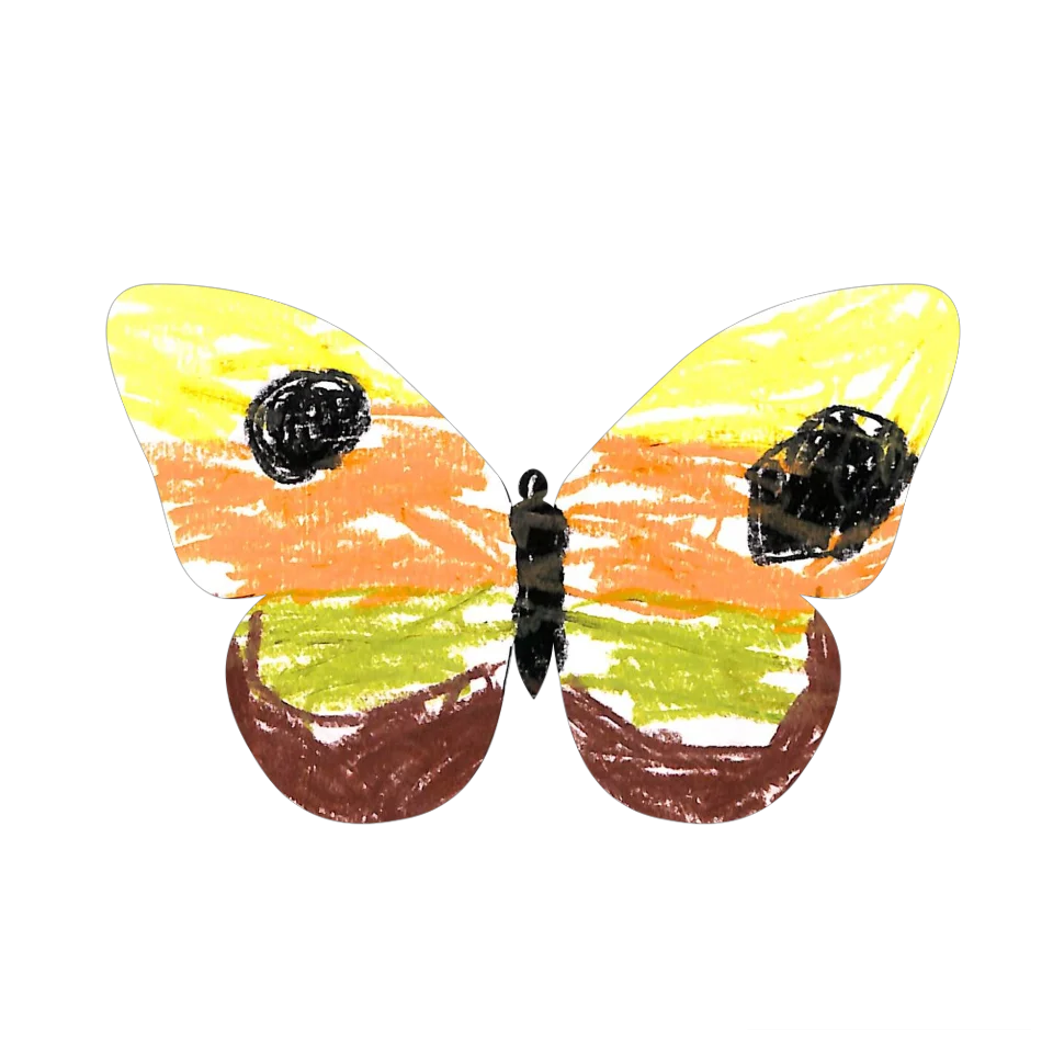 Original Butterfly Image