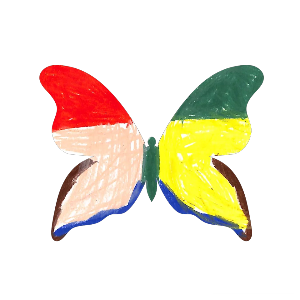 Original Butterfly Image