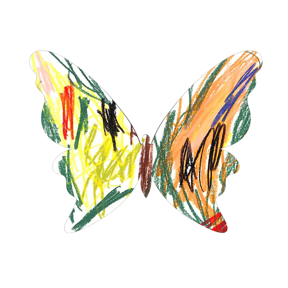 Original Butterfly Image