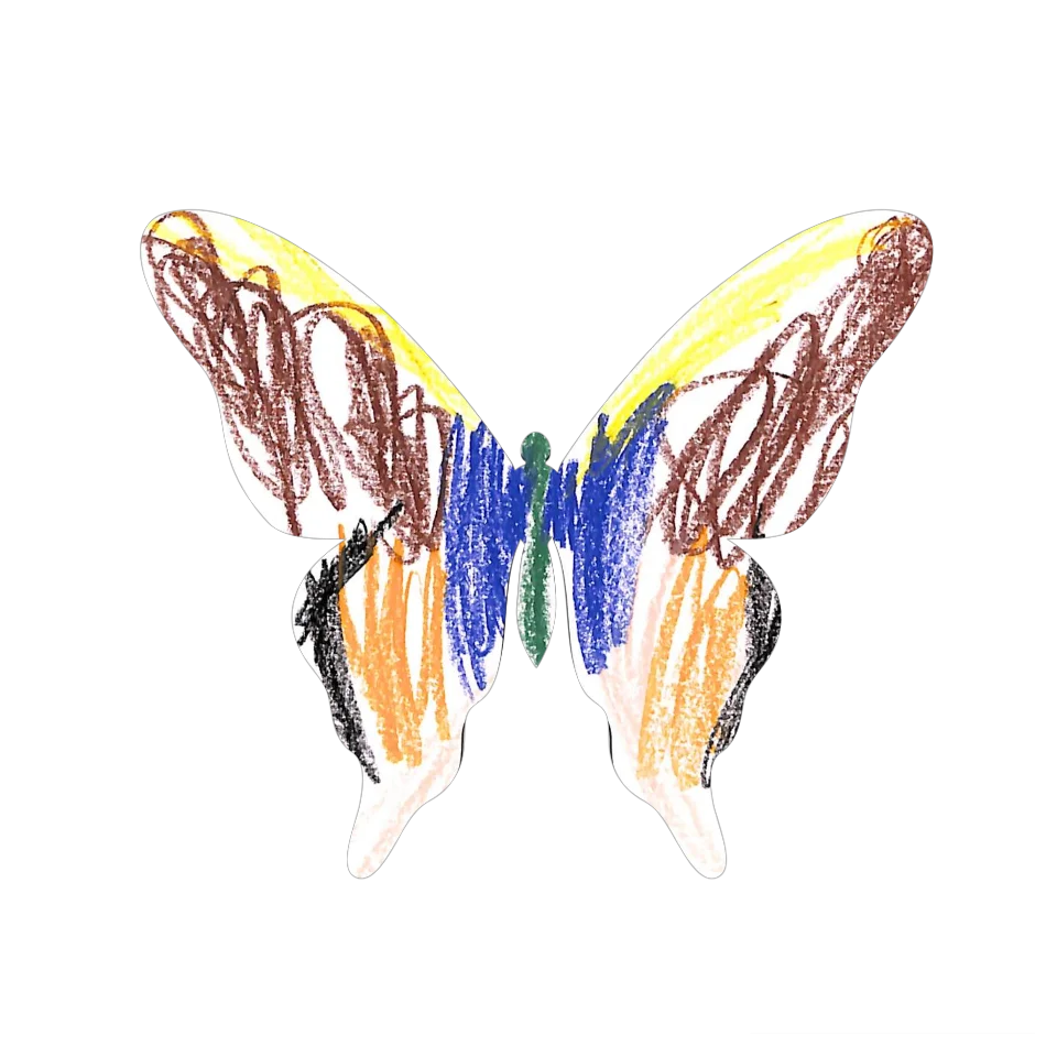 Original Butterfly Image