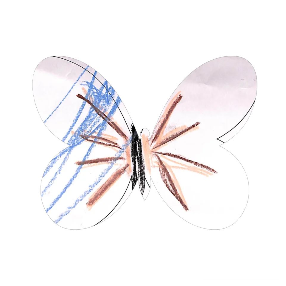 Original Butterfly Image