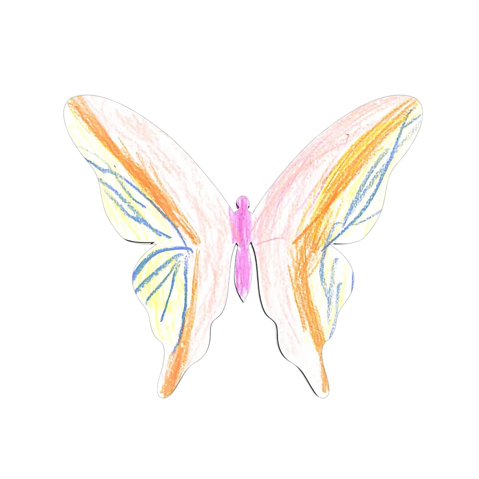 Original Butterfly Image