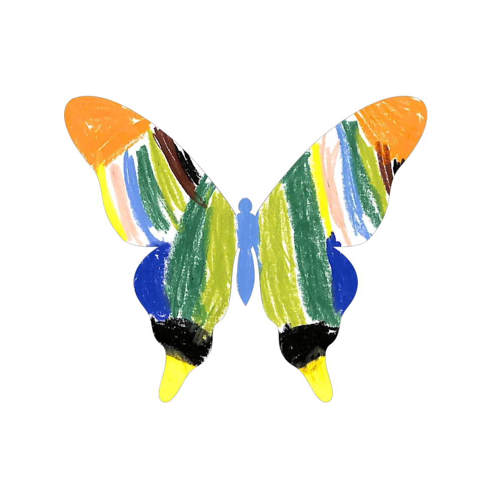 Original Butterfly Image